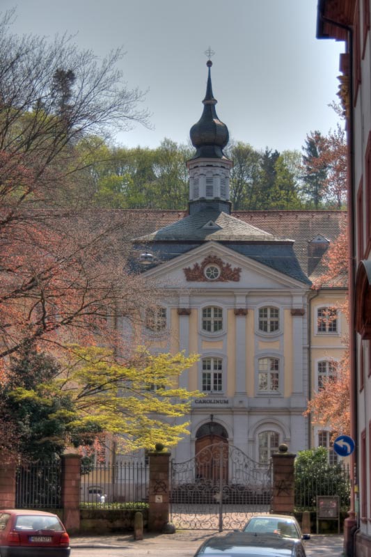 Heidelberg_Seminarum_Carolinum