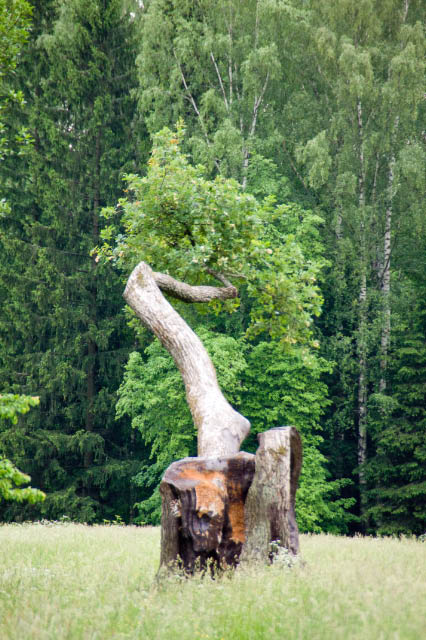 Pawlowsk-Park-Baum