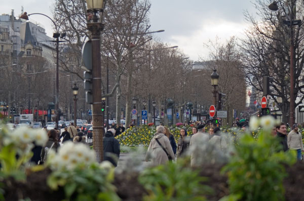 Paris_Avenue_des_Champs-Elysees_rond-point