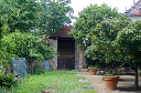 Orangerie-Park-Umpflanzturm