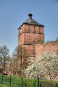 Heidelberg_Schloss_Torturm_1
